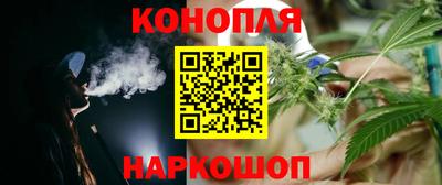 прущие грибы Малгобек