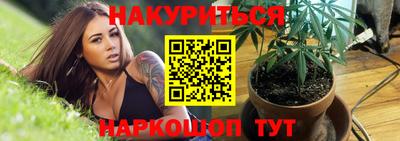прущие грибы Малгобек