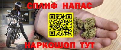 прущие грибы Малгобек