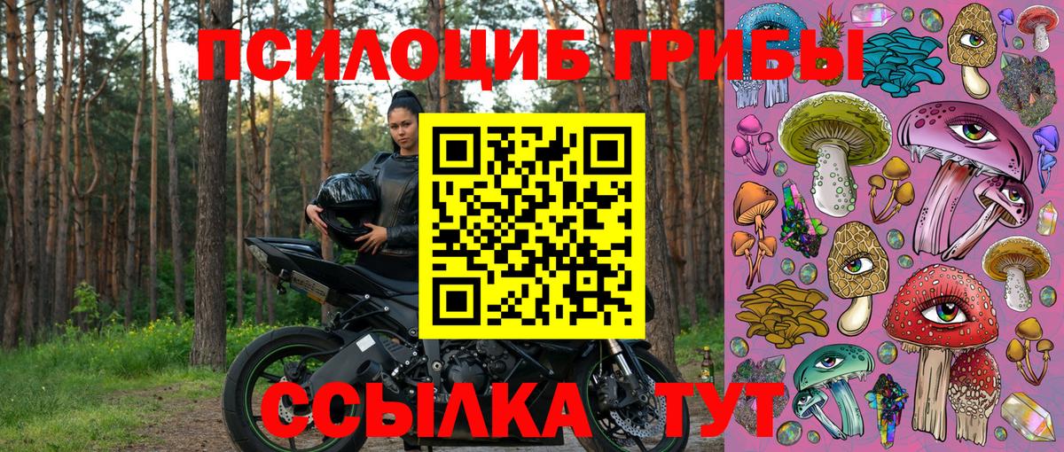 Якутск  Псилоцибиновые грибы мицелий  Вход с VPN 