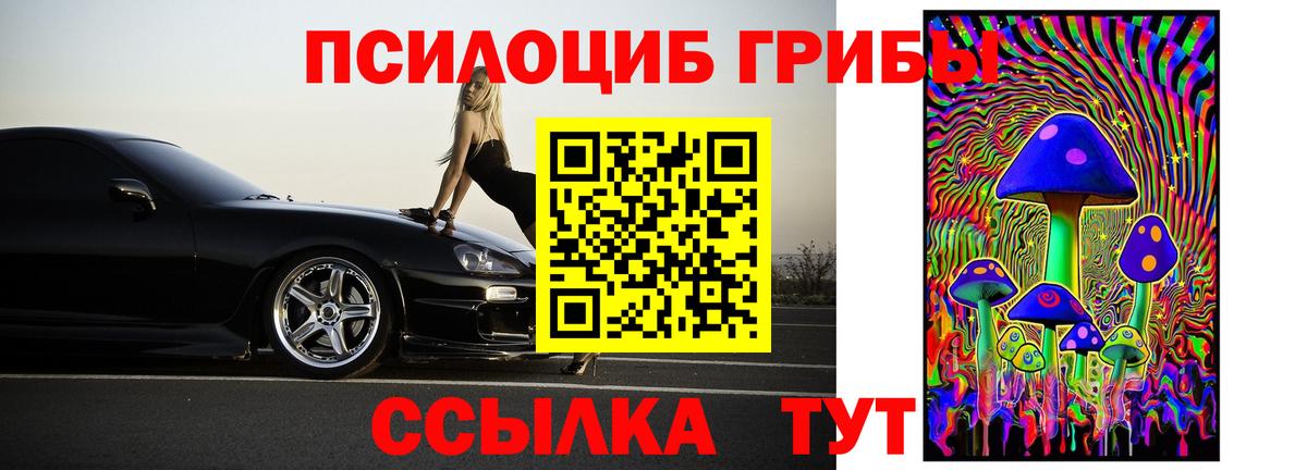 Псилоцибиновые грибы мицелий Якутск